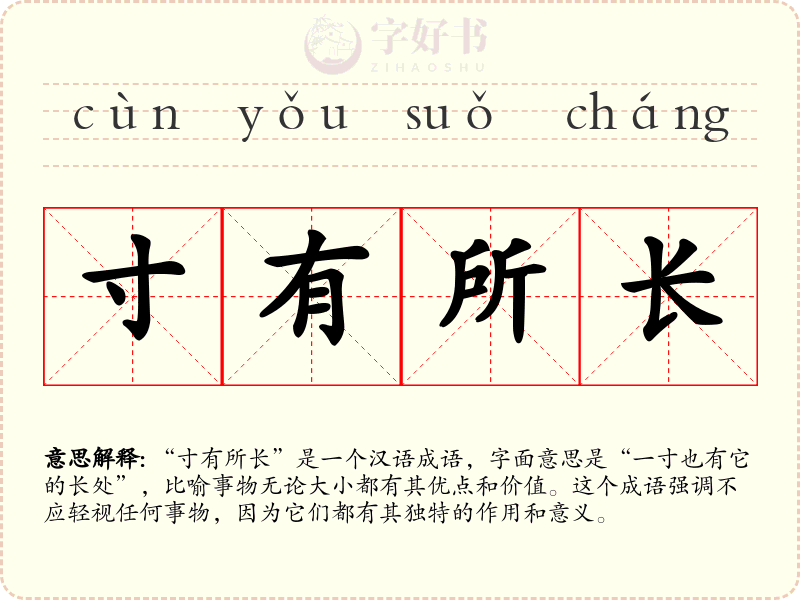 寸有所长
