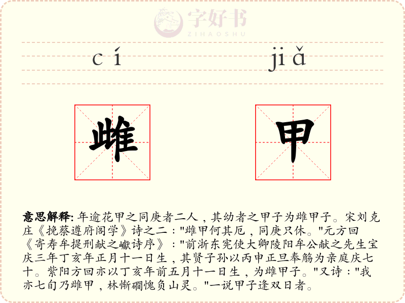 雌甲