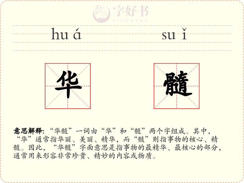 华髓