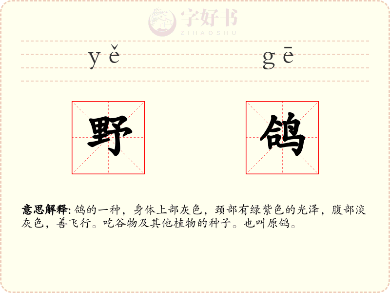 野鸽