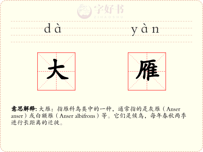 大雁