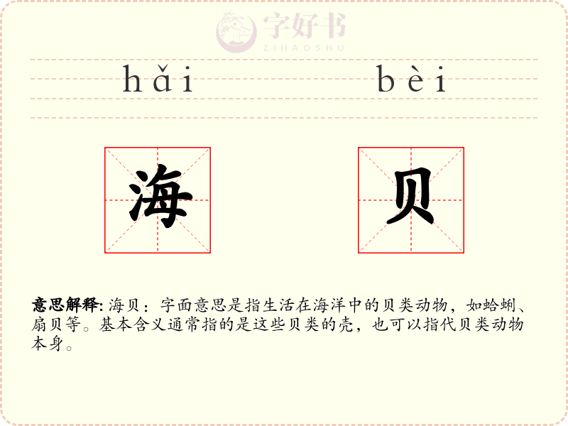 海贝