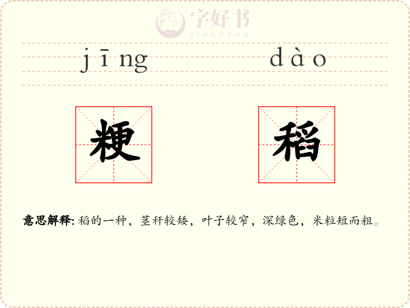 粳稻