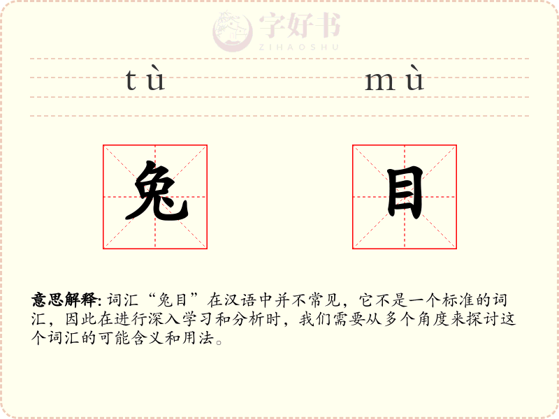兔目