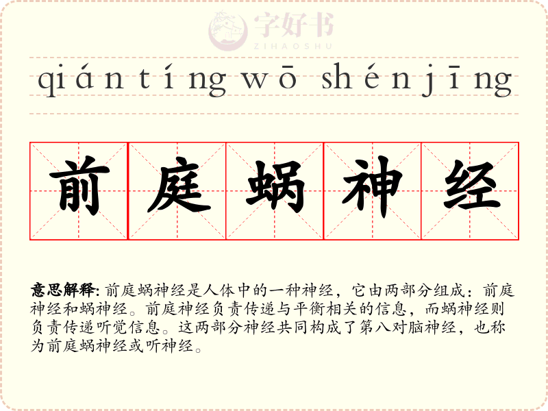 前庭蜗神经