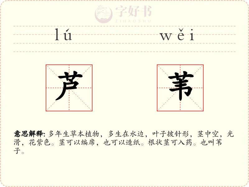 芦苇