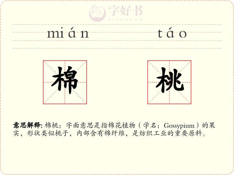 棉桃