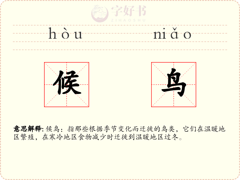 候鸟