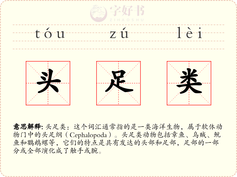 头足类