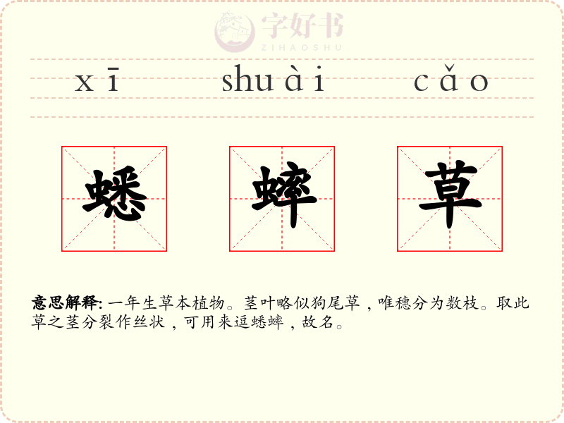 蟋蟀草