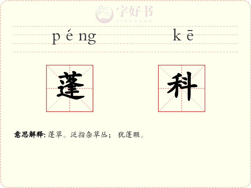 蓬科