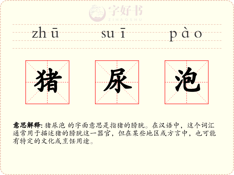 猪尿泡