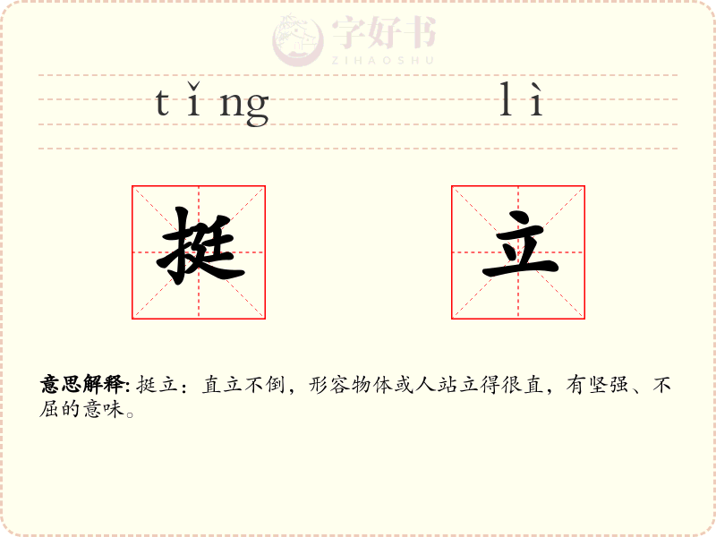 挺立