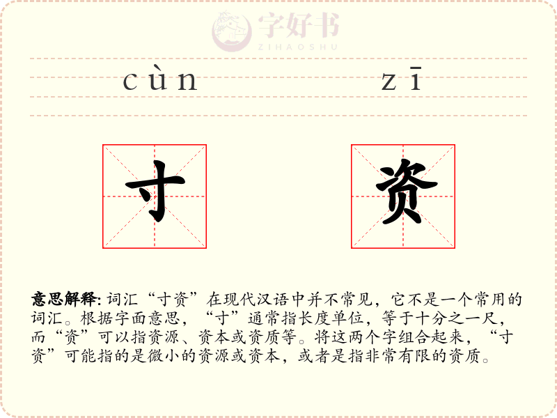 寸资