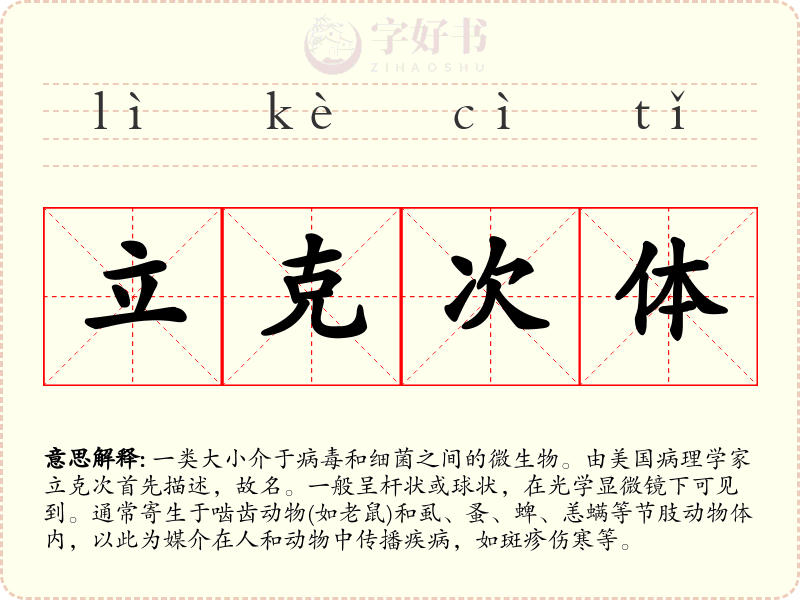 立克次体