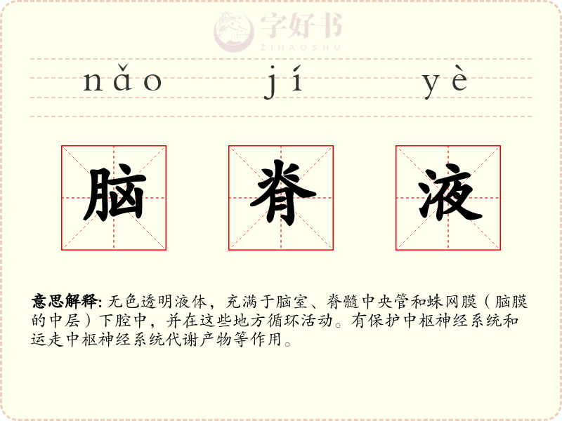 脑脊液