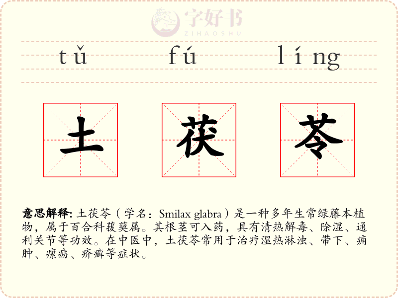 土茯苓