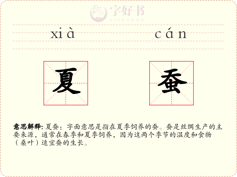 夏蚕
