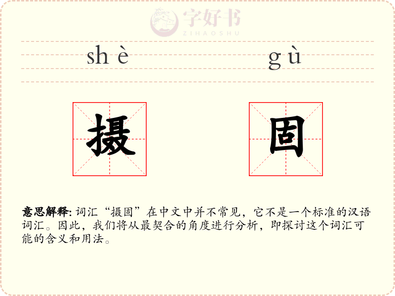 摄固