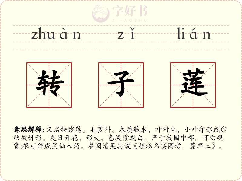 转子莲