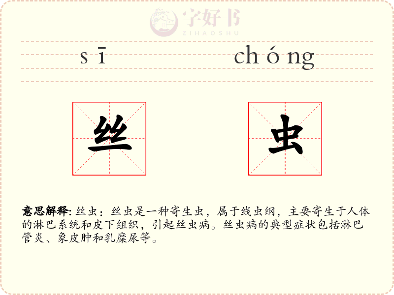 丝虫