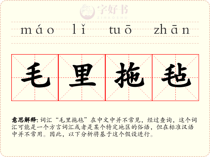 毛里拖毡