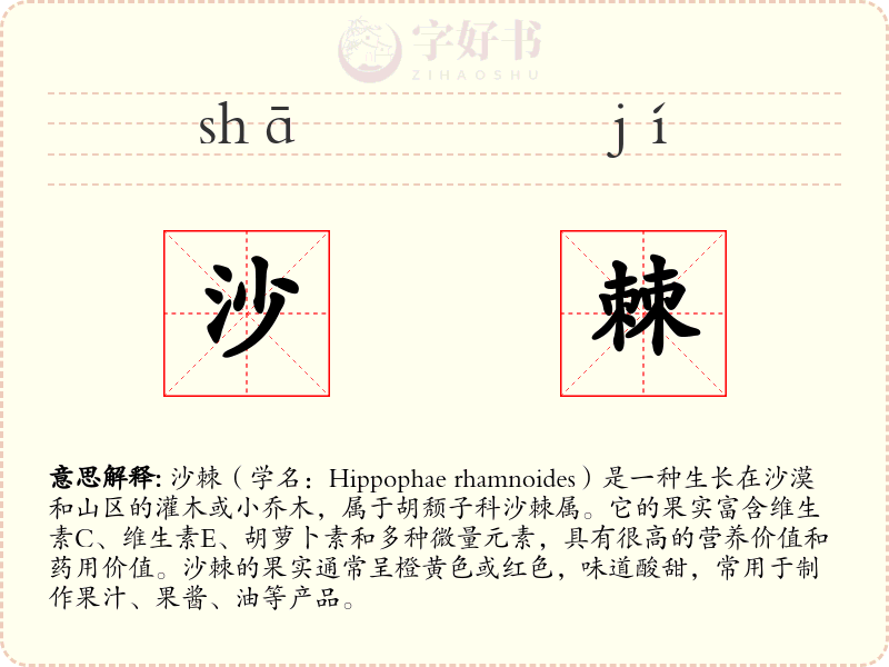 沙棘