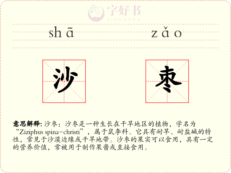 沙枣