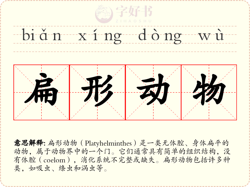 扁形动物