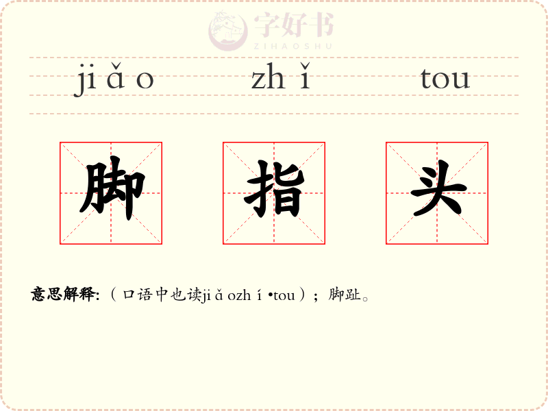 脚指头