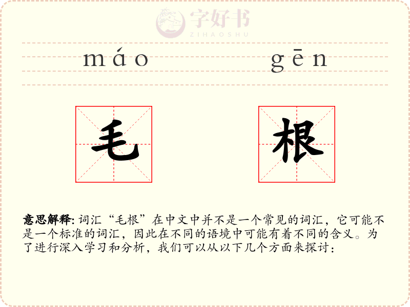 毛根