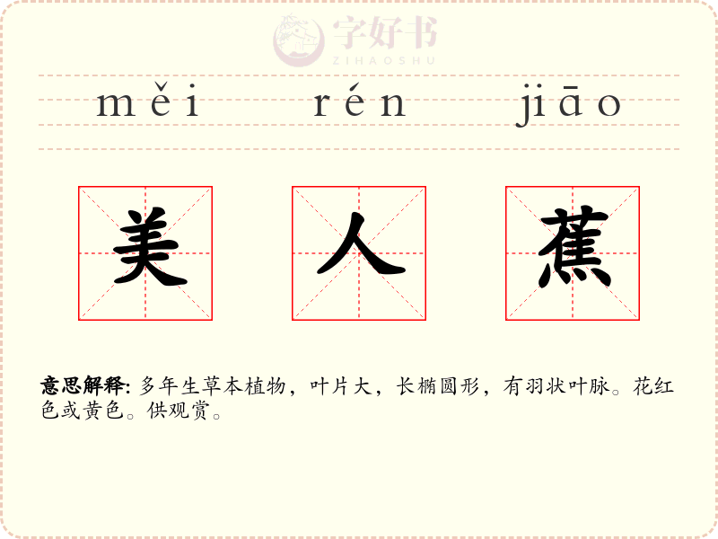 美人蕉
