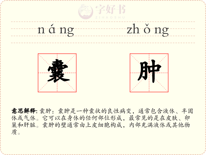 囊肿
