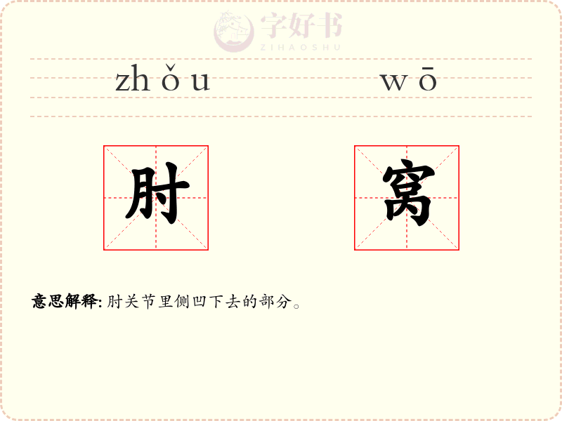 肘窝
