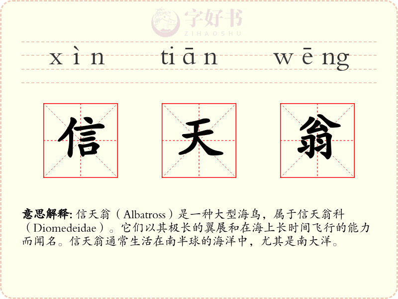 信天翁