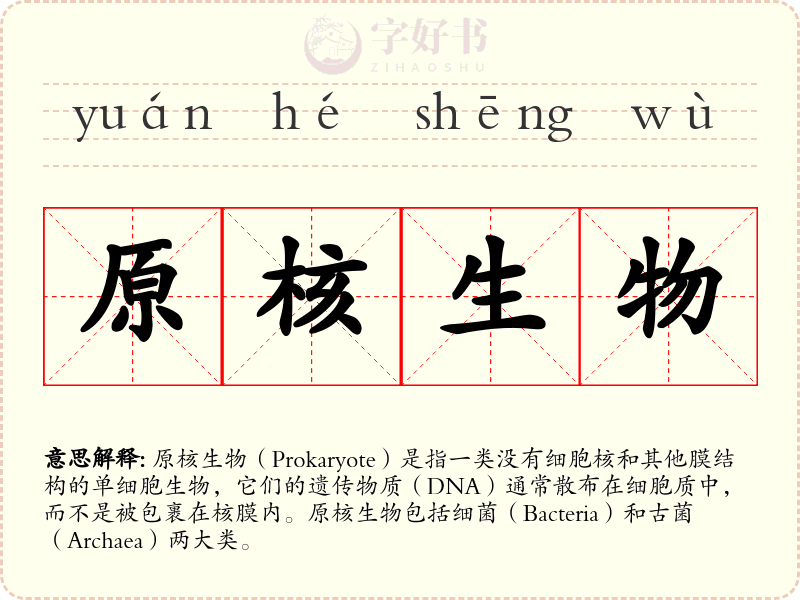 原核生物