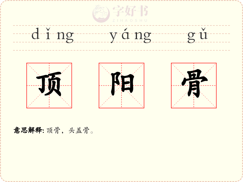 顶阳骨