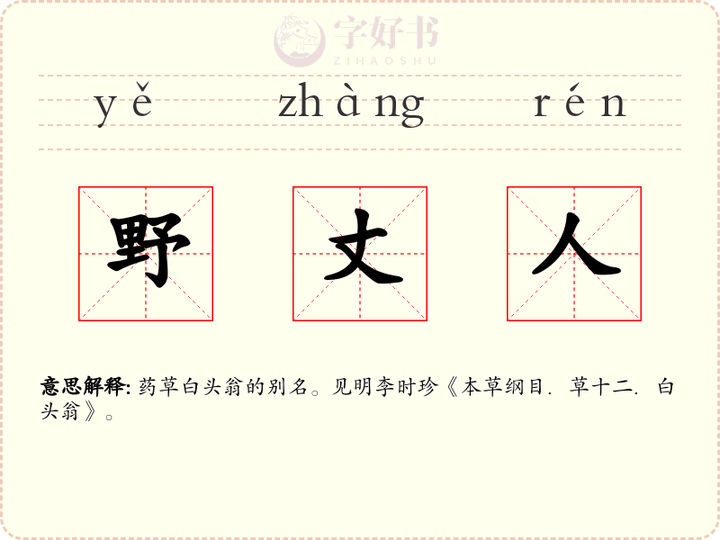 野丈人