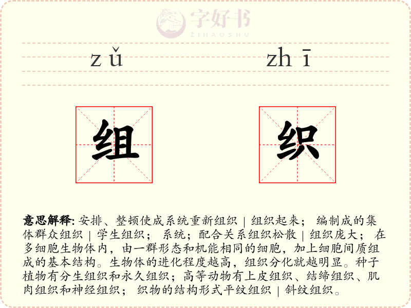 组织