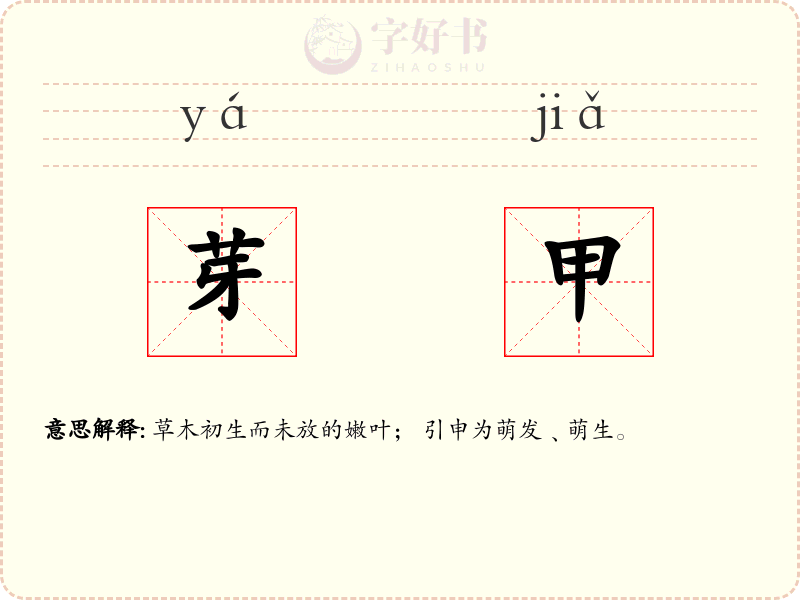 芽甲