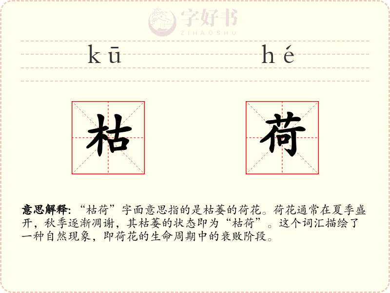 枯荷