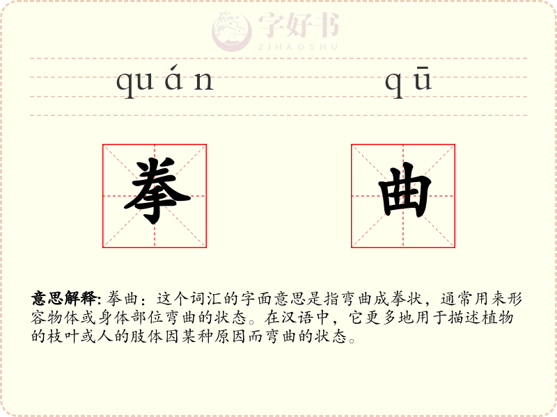 拳曲