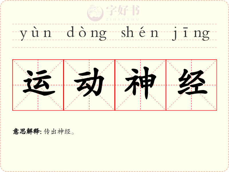 运动神经