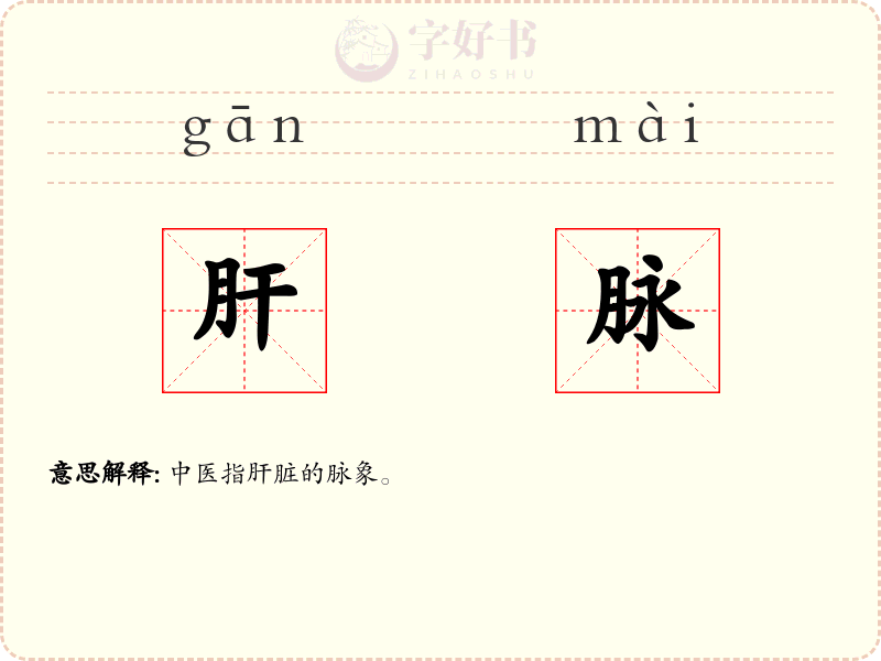 肝脉