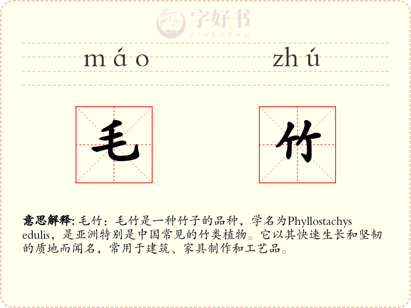 毛竹