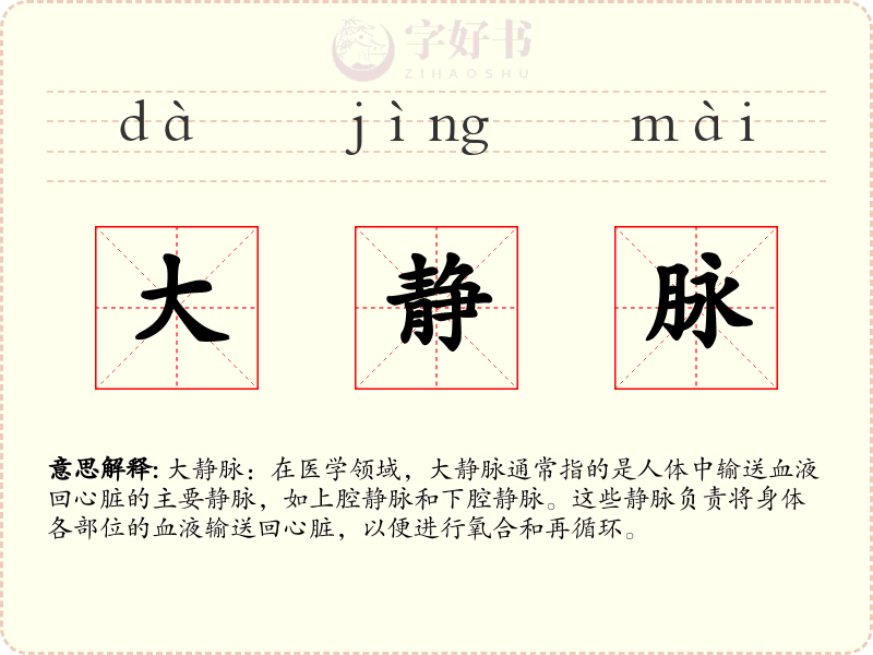 大静脉