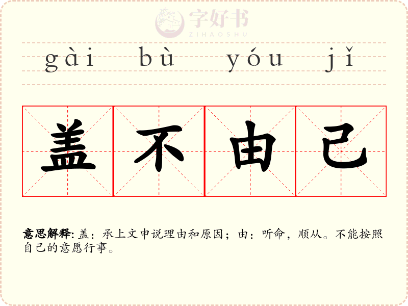 盖不由己