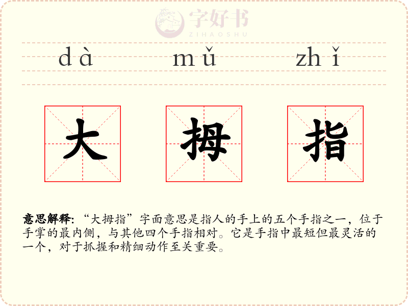 大拇指