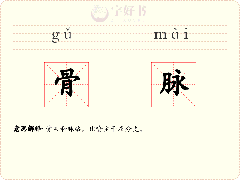 骨脉