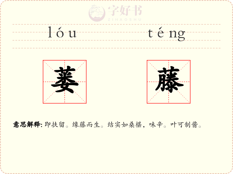蒌藤